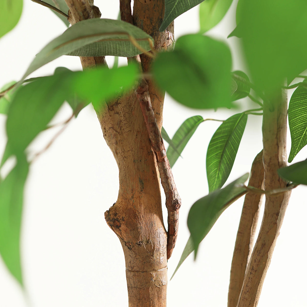 DR.PLANZEN Artificial Ficus Tree Potted Plant With Natural Wood Trunk