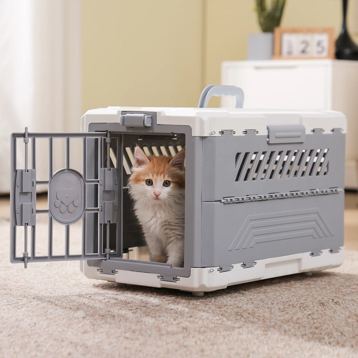 PAWZ Road Foldable Pet Carrier With Secure Door For Travel