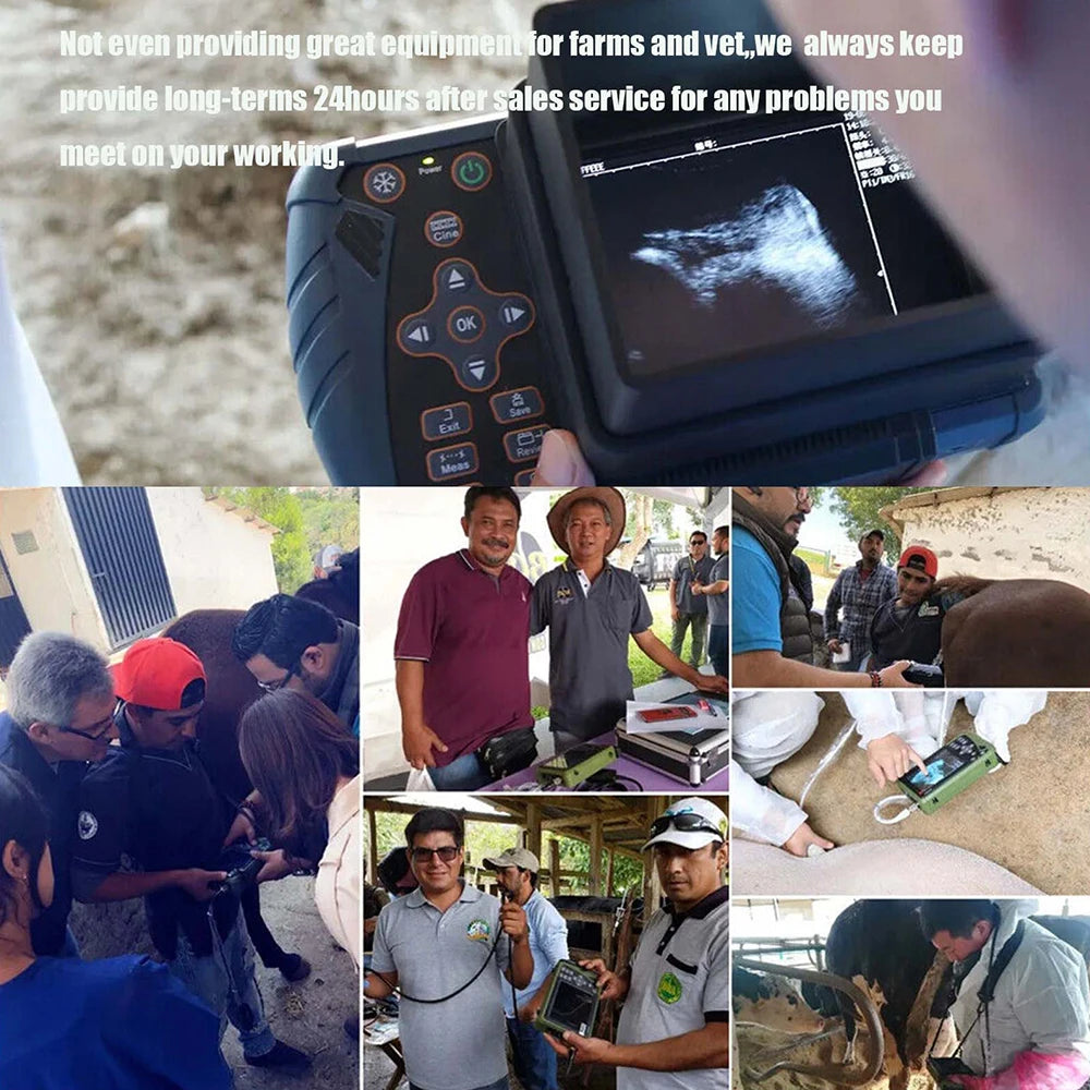 DAWEI Portable Veterinary Ultrasound Scanner for Pregnancy with 3.5MHz Convex