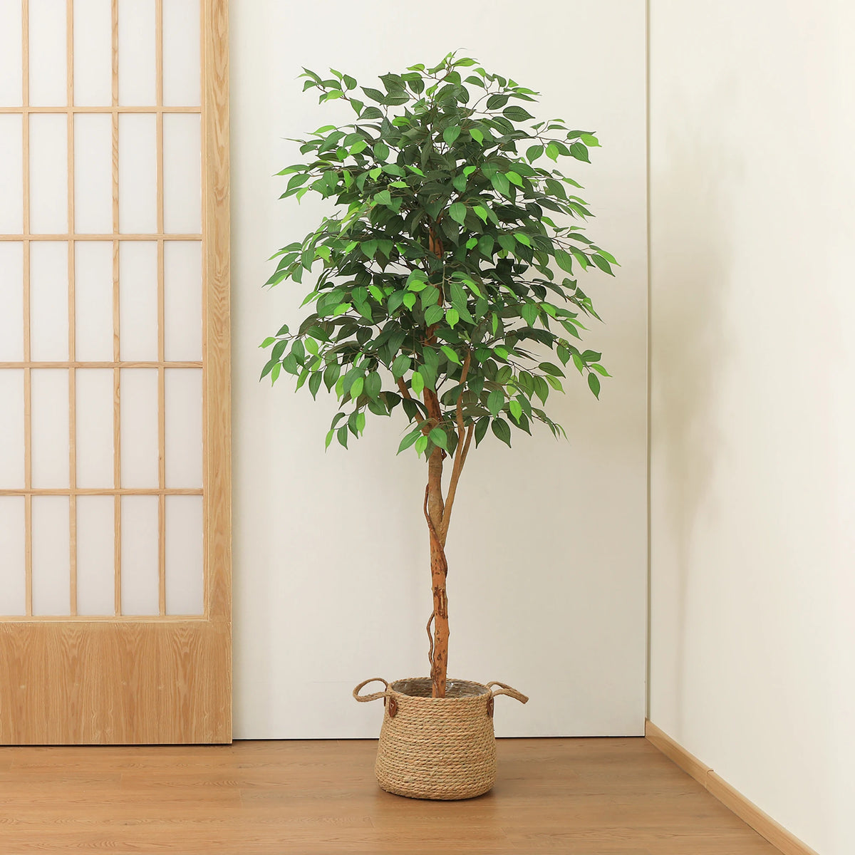 DR.PLANZEN Artificial Ficus Tree Potted Plant With Natural Wood Trunk