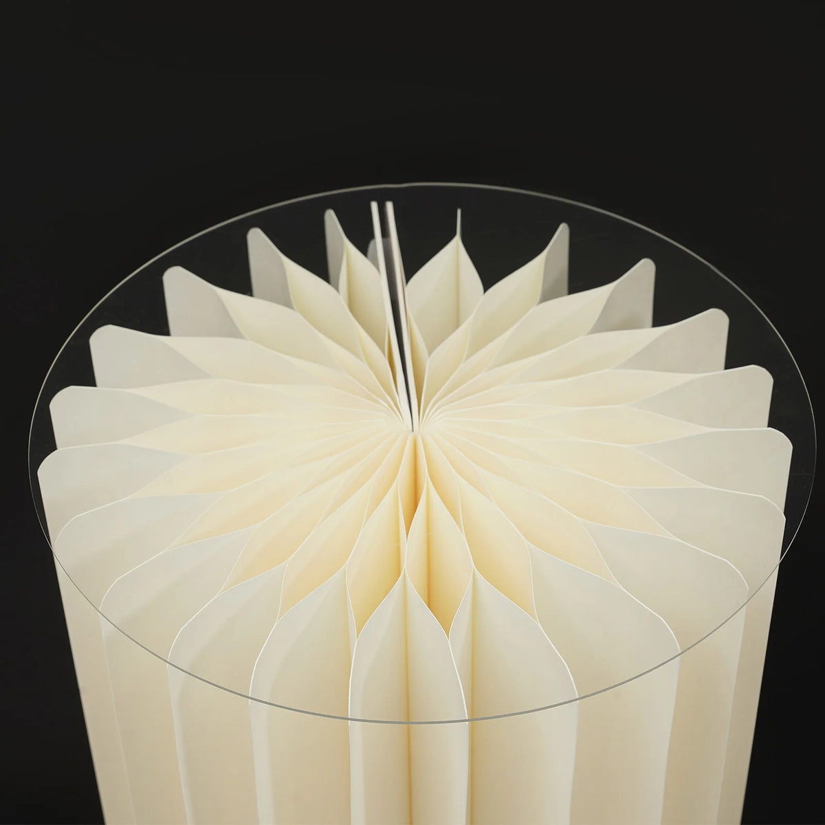 Foldable Cardboard Flower Stand Set for Wedding and Party Displays