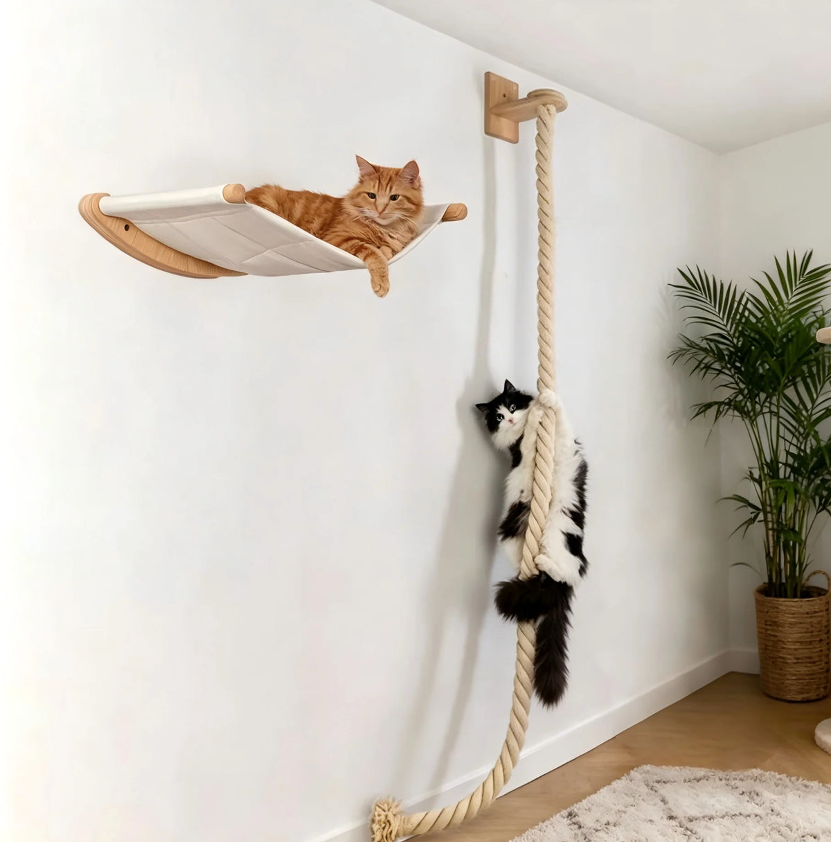 CWV Wall Mounted Cat Hammock Climbing Shelves And Scratching Perches