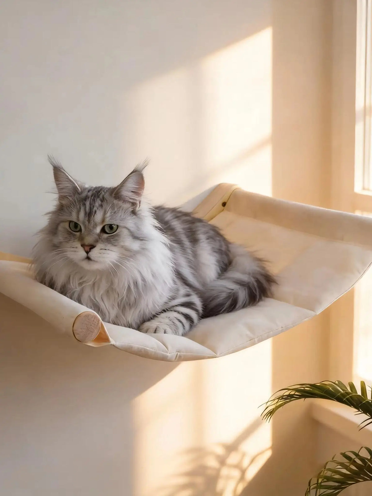 CWV Wall Mounted Cat Hammock Climbing Shelves And Scratching Perches