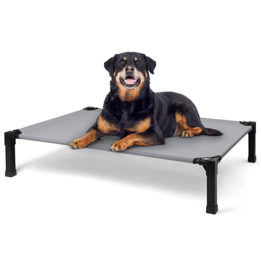 Portable Elevated Cooling Dog Bed With Chew-Proof Mesh And Frame
