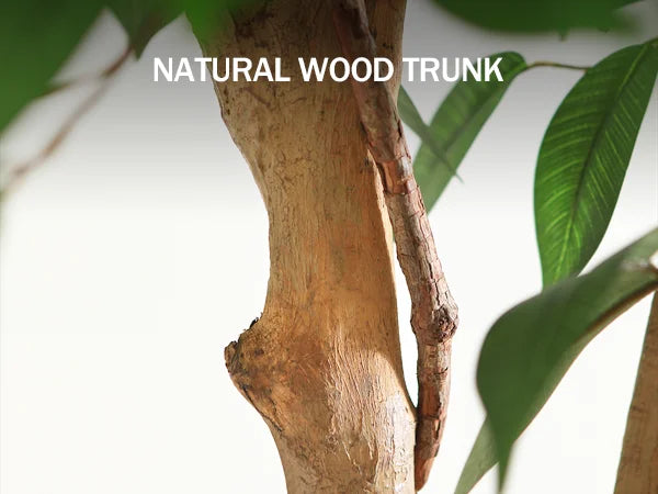 DR.PLANZEN Artificial Ficus Tree Potted Plant With Natural Wood Trunk
