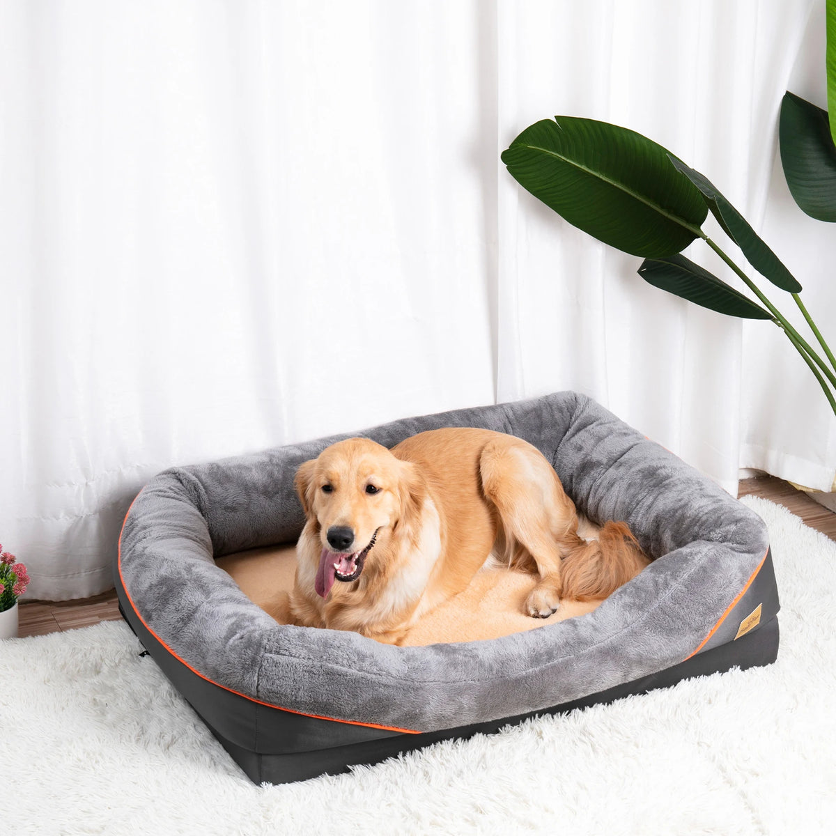 BINGOPAW Waterproof Dog Bed With Removable Washable Cover